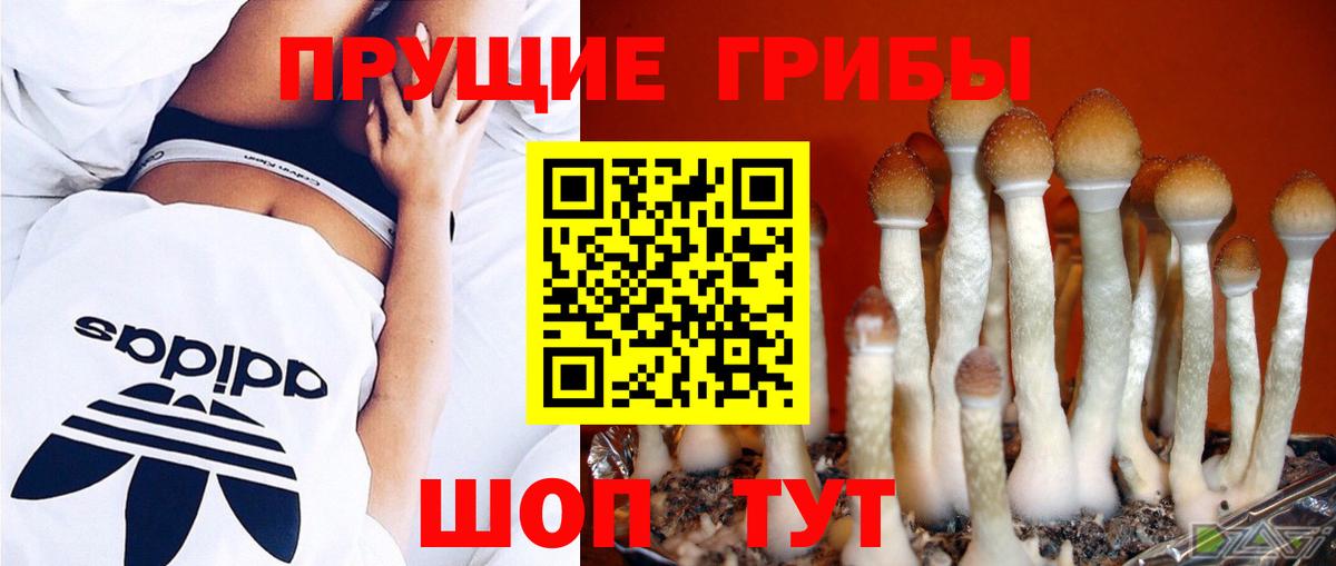 Галлюциногенные грибы GOLDEN TEACHER  Вход с VPN  Балахна 